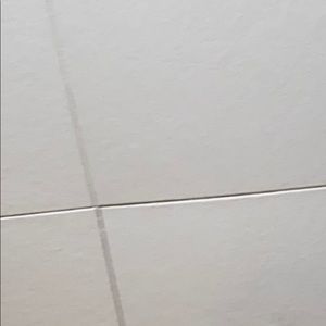 Meet your Posher, Bella